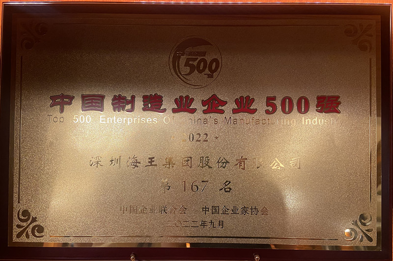 中國制造業(yè)企業(yè)500強(qiáng) 第167名 獎(jiǎng)牌.jpg